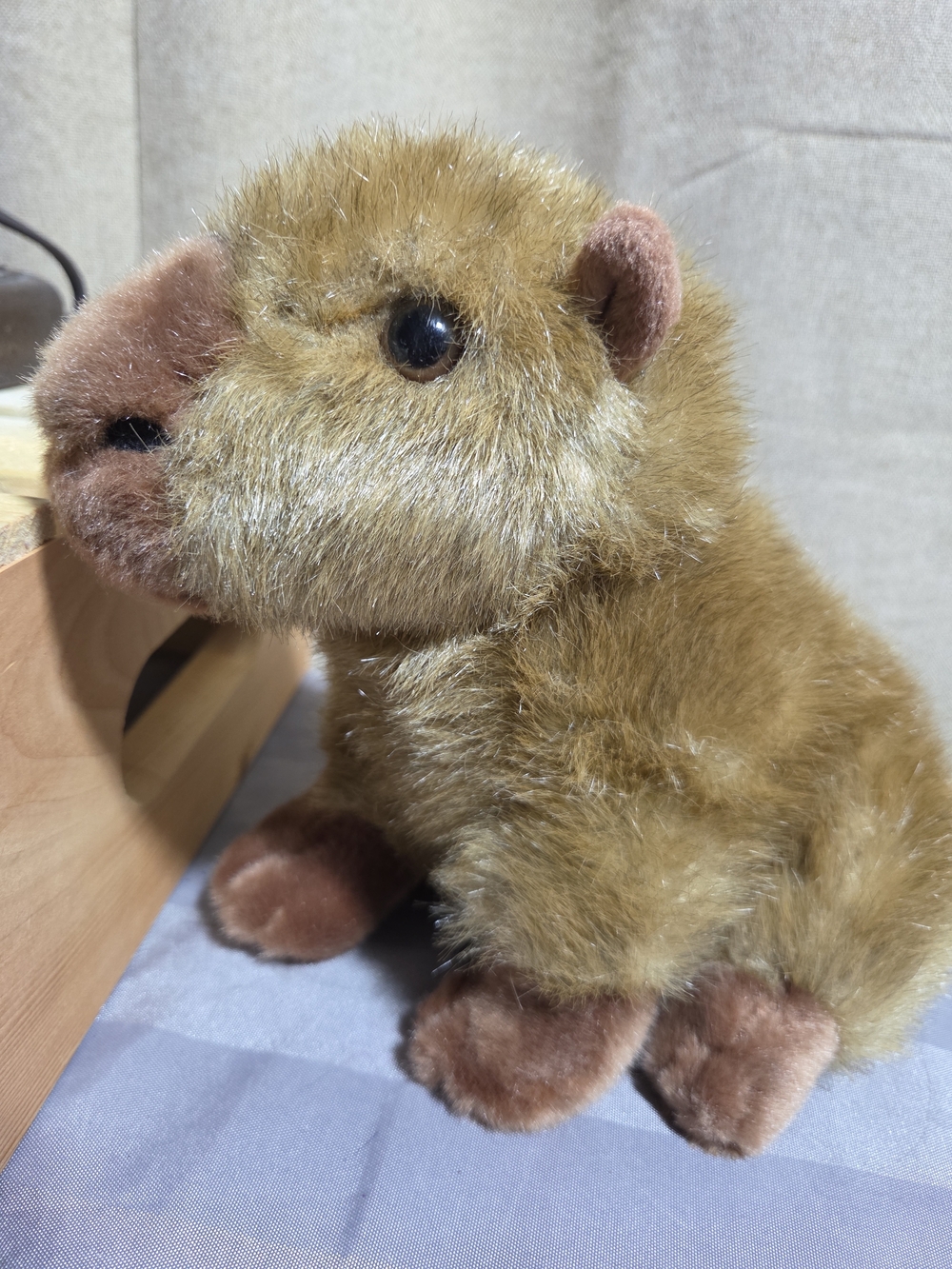 Aurora - Miyoni - 10" Capybara Realistic Stuffed Animal